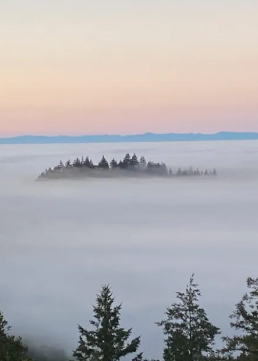 Sea of fog view from above the Santa Cruz Mountains at Living Well Event Center