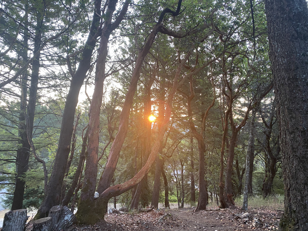 Why an Outdoor Setting Helps Us Grieve